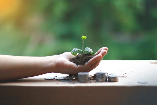 How to Start Investing with a Small Amount of Money